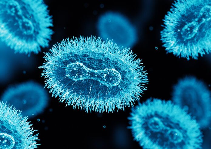 Monkeypox virus