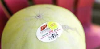 deciphering produce sticker codes