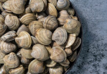 Manhattan Shellfish Chowder