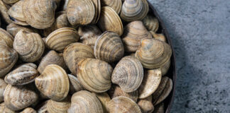 Manhattan Shellfish Chowder