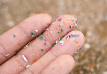 microplastics