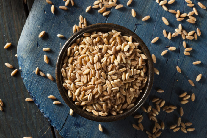 Farro With Wild Mushrooms