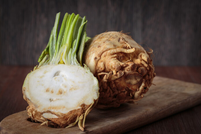 Fresh raw celeriac celeriac puree
