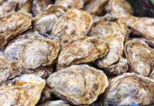 Oysters: ‘OK’ on a Vegan Diet? Are oysters vegan