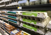 How to Spot a Good Egg How to Buy Eggs