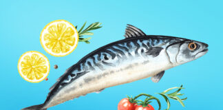Grilled Mackerel