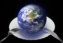 Planetary Health Diet