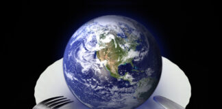 Planetary Health Diet